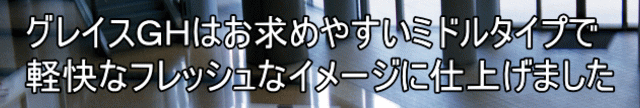 グレイスＧＨはお求めやすいミドルタイプで 軽快なフレッシュなイメージに仕上げました